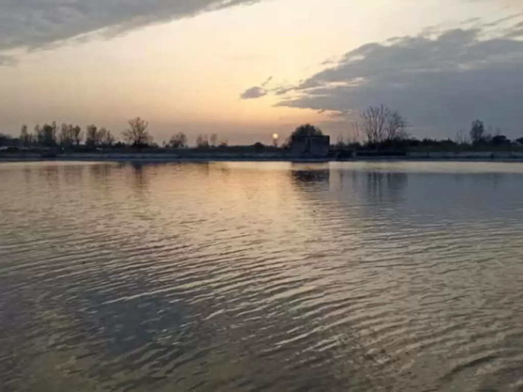 Il Consorzio di Bonifica indice il 1° Concorso Fotografico “Un mondo  nascosto nel paesaggio rurale: i Canali di Bonifica e irrigazione” - Caserta  Notizie