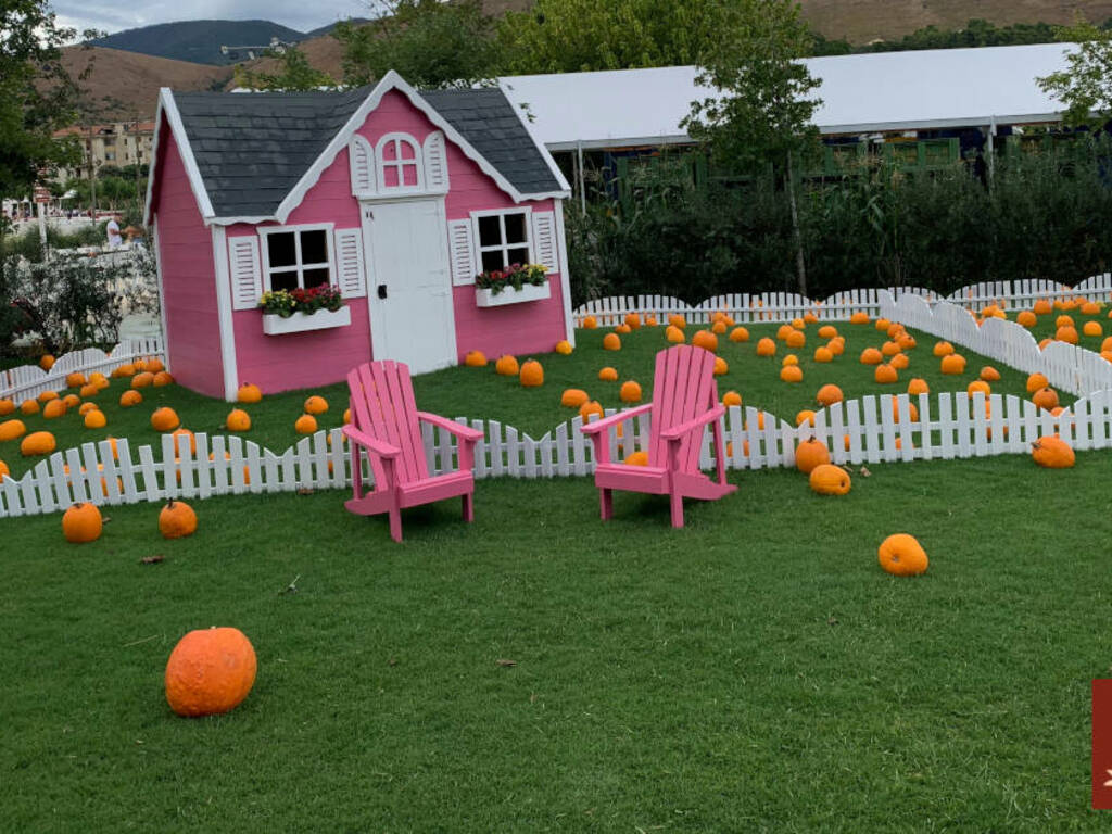 Il Giardino delle Zucche – Pumpkin Patch: visitatori affascinati nel primo week end dell’evento Il Giardino delle Zucche – Pumpkin Patch: visitatori affascinati nel primo week end dell’evento