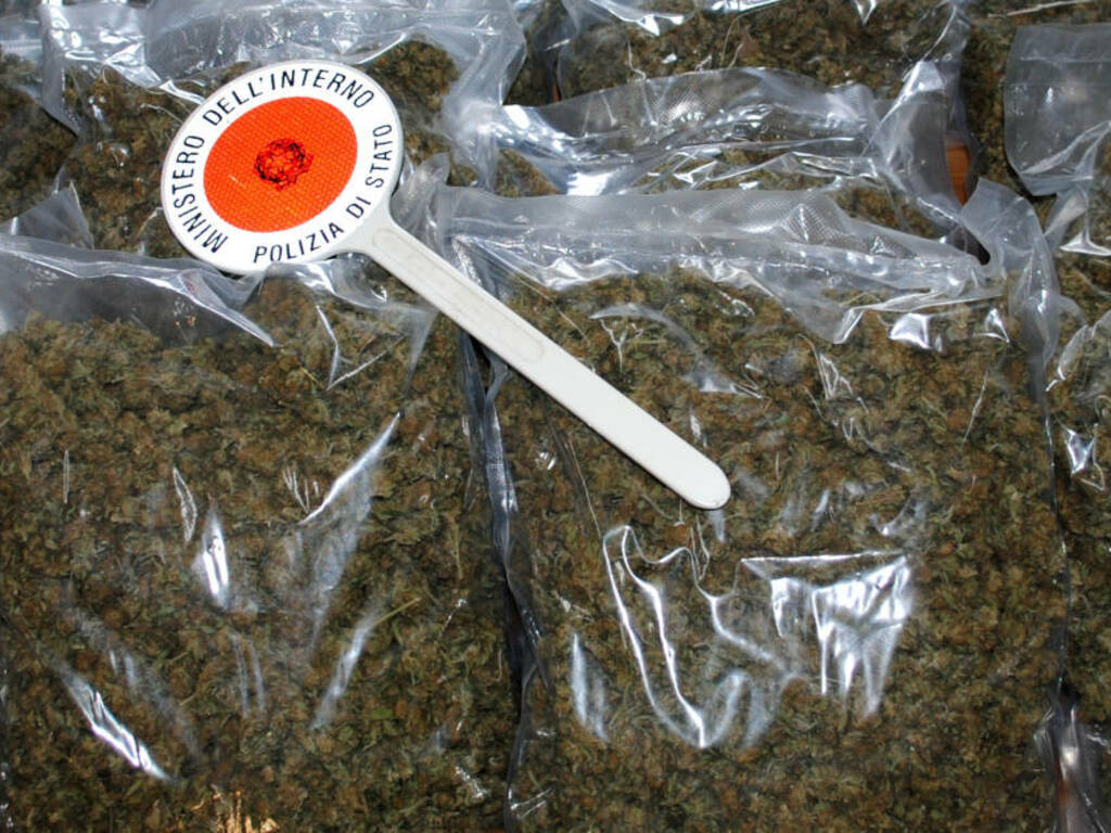 Nascondono 24 chili circa di marjuana nel camino, 3 arresti Nascondono 24 chili circa di marjuana nel camino, 3 arresti