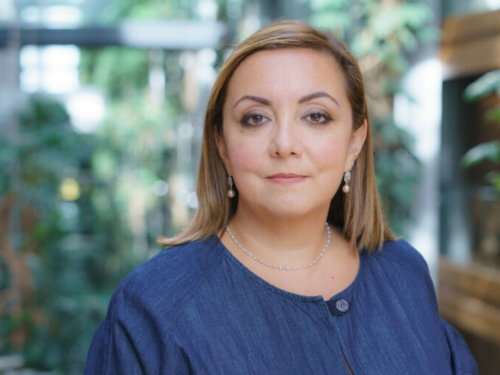 Ospedale Piedimonte Matese, l’europarlamentare Isabella Adinolfi: “Trovare soluzione per scongiurare chiusura reparti”