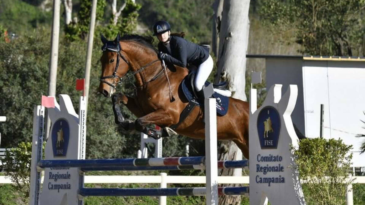 I cavalli del Centro Ippico di Santa Maria alla più grande fiera zootecnica  italiana - Caserta Notizie