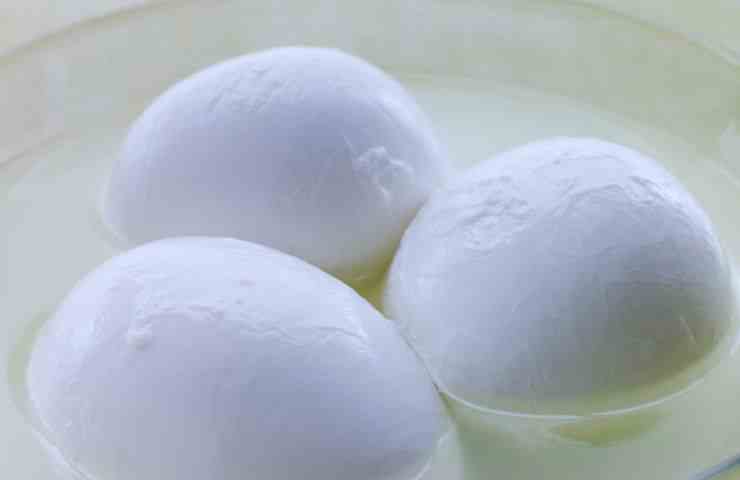 mozzarella