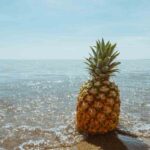 ananas mare